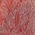 e703808-rap-oboykin-elysium-protea_11zon e703808-rap-oboykin-elysium-protea_11zon
