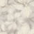 ornamy (4)_11zon