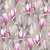 60736-07-rap-oboykin-profi-deco-magdalena_11zon 60736-07-rap-oboykin-profi-deco-magdalena_11zon