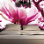 2024-08-24_15-50-51_11zon
