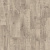 TH_GLADIATOR_SARATOGA_1